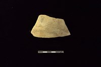 藏品(陶片)的圖片